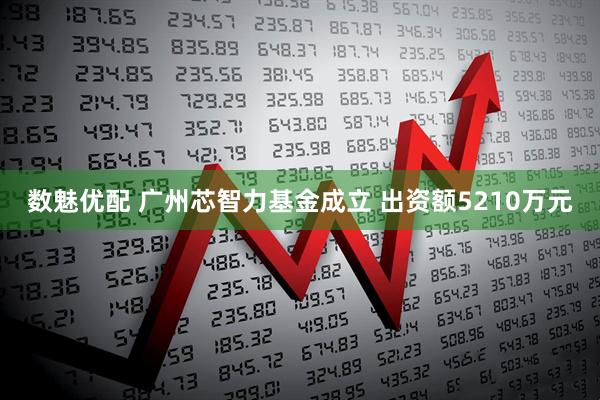 数魅优配 广州芯智力基金成立 出资额5210万元